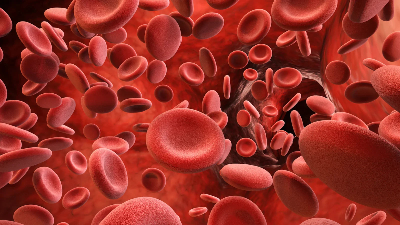 How to Increase Your Hemoglobin Count Naturally?