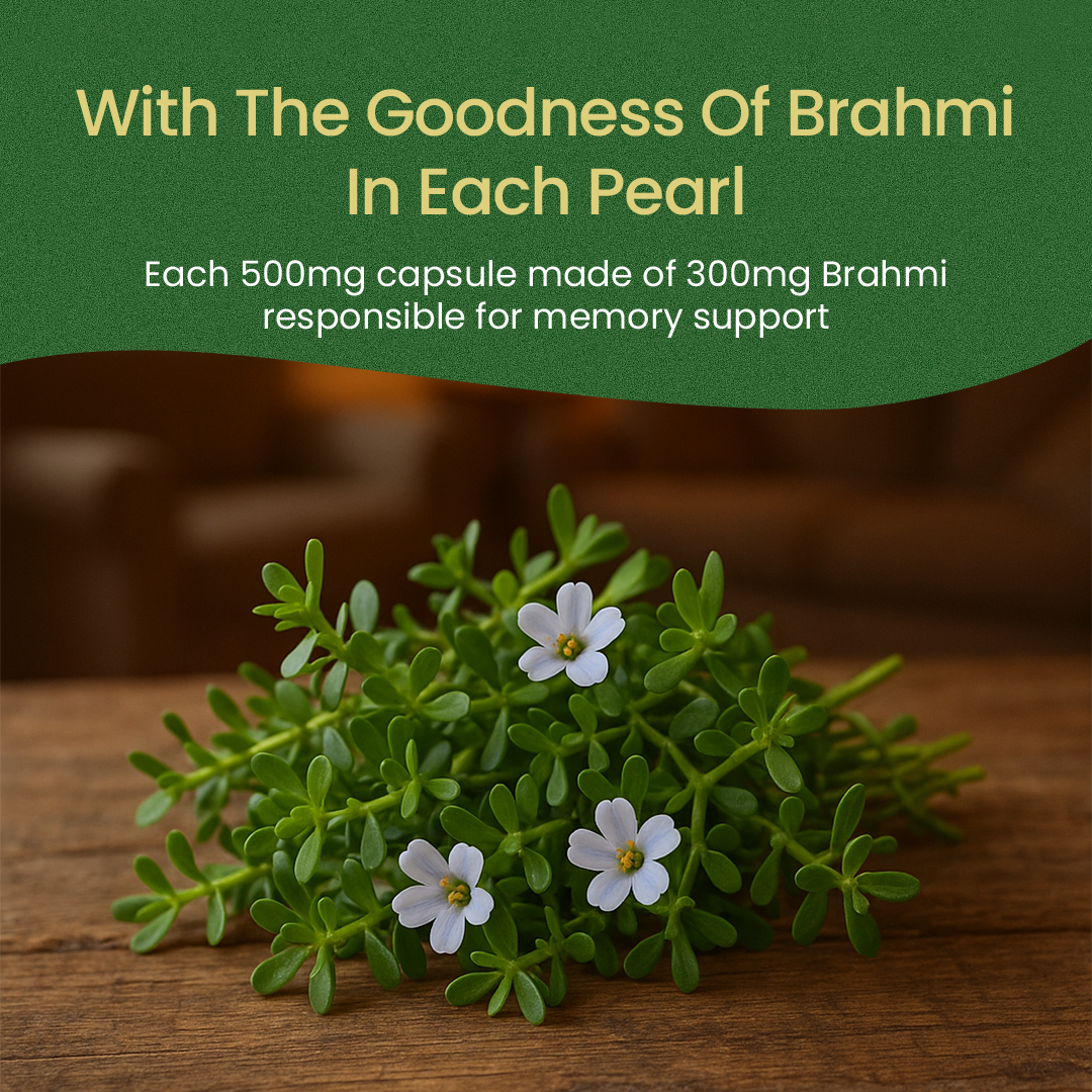 Close-up of fresh Brahmi (Bacopa monnieri) sprigs with flowers, noting 300 mg Brahmi in each pearl to power brahmi capsules for memory enhancement – Kerala Ayurveda India