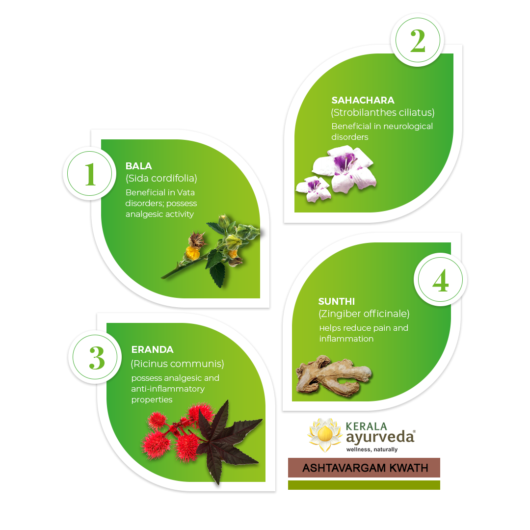 Banner illustrating key ingredients of Ashtavargam Kwath: Bala, Sahachara, Eranda, and Sunthi, detailing their benefits for Vata disorders, neurological issues, pain relief, and inflammation. – Kerala Ayurveda India