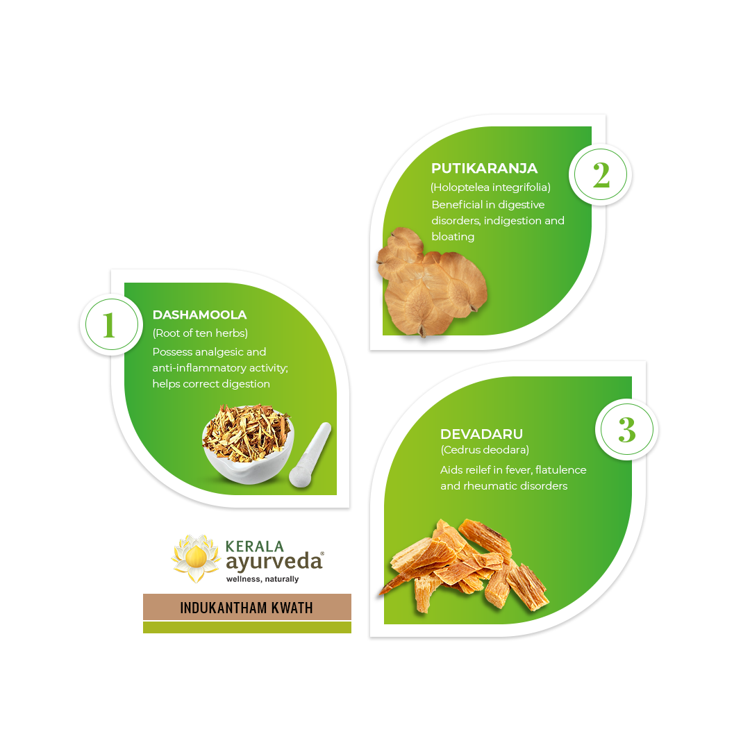 Banner illustrating key ingredients of Indukantham Kwath: Dashamoola, Putikaranja, and Devadaru, detailing their benefits for analgesic and anti-inflammatory activity, correcting digestion, aiding digestive disorders, indigestion, bloating, fever relief, flatulence, and rheumatic disorders. – Kerala Ayurveda India