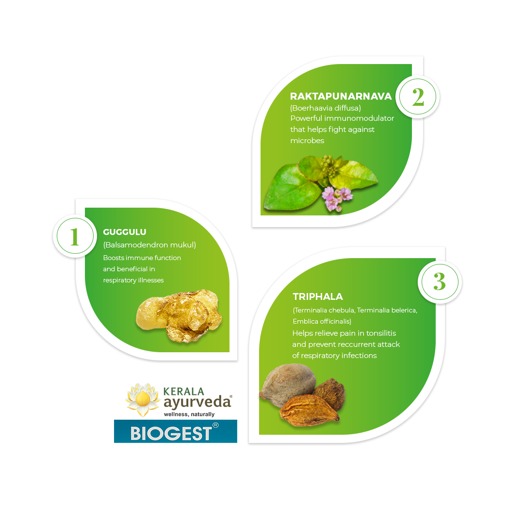 Biogest Tablet (100 Nos)