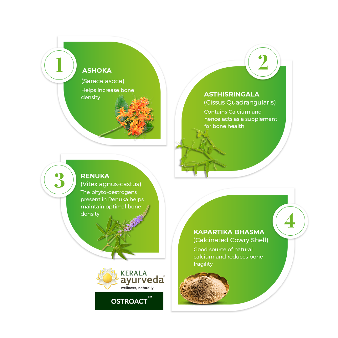 Banner illustrating key ingredients of Ostoact Tablet: Ashoka, Asthisringala, Renuka, and Kapartika Bhasma, detailing their benefits for increasing bone density, providing natural calcium, maintaining optimal bone density via phyto-oestrogens, and reducing bone fragility. – Kerala Ayurveda India