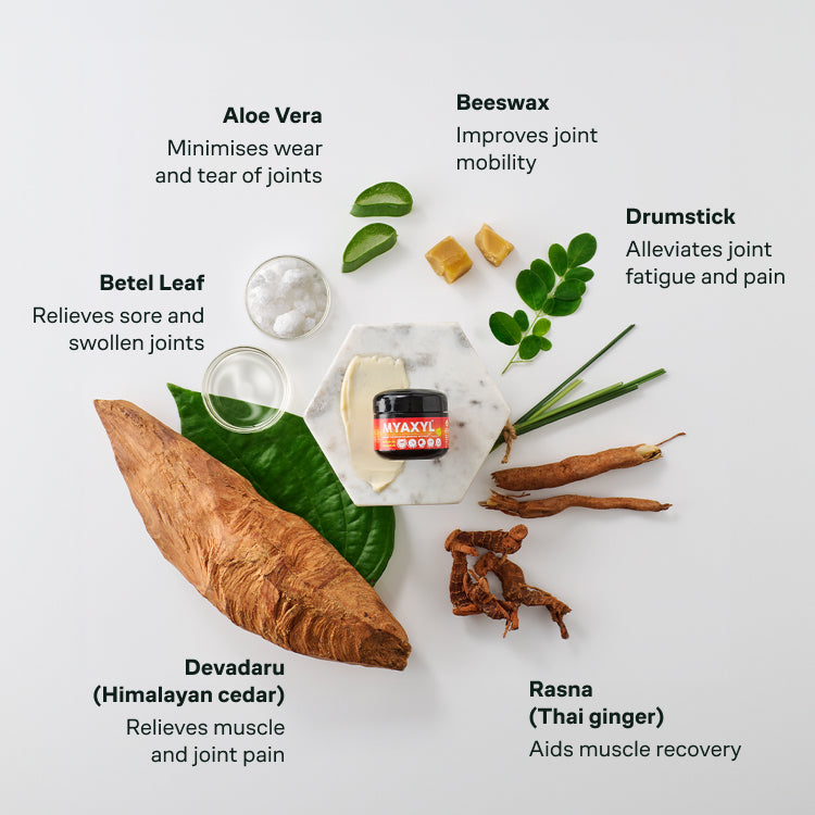 A top-down view of various ingredients surrounding a jar of Myaxyl Cream. The ingredients include Aloe Vera, Beeswax, Drumstick, Betel Leaf, Devadaru (Himalayan cedar), and Rasna (Thai ginger), each with a short description of its benefit. – Kerala Ayurveda India