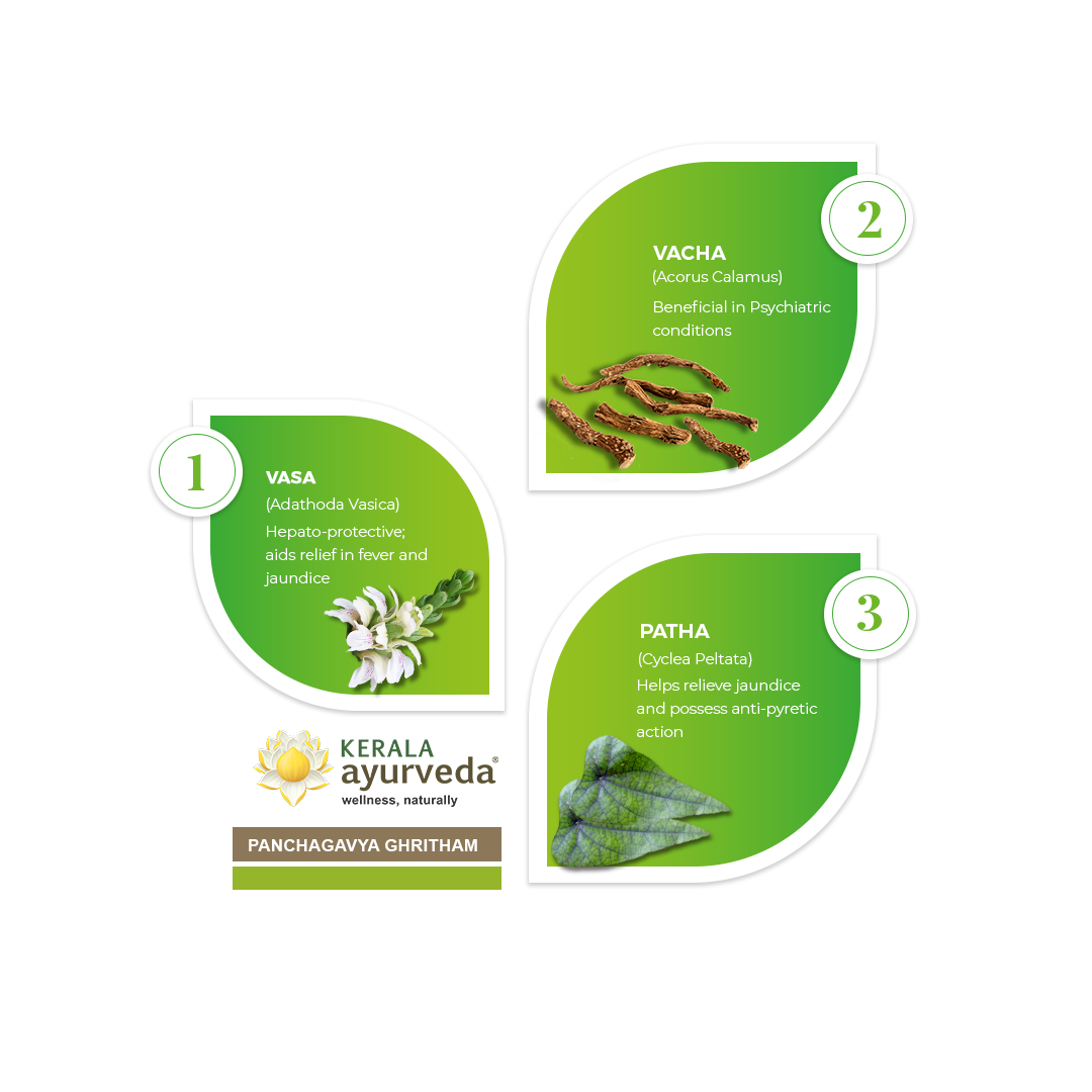 Banner illustrating key ingredients of Panchagavya Ghritham: Vasa, Vacha, and Patha, detailing their benefits for hepato-protective action, aiding fever and jaundice, psychiatric conditions, and anti-pyretic action. – Kerala Ayurveda India