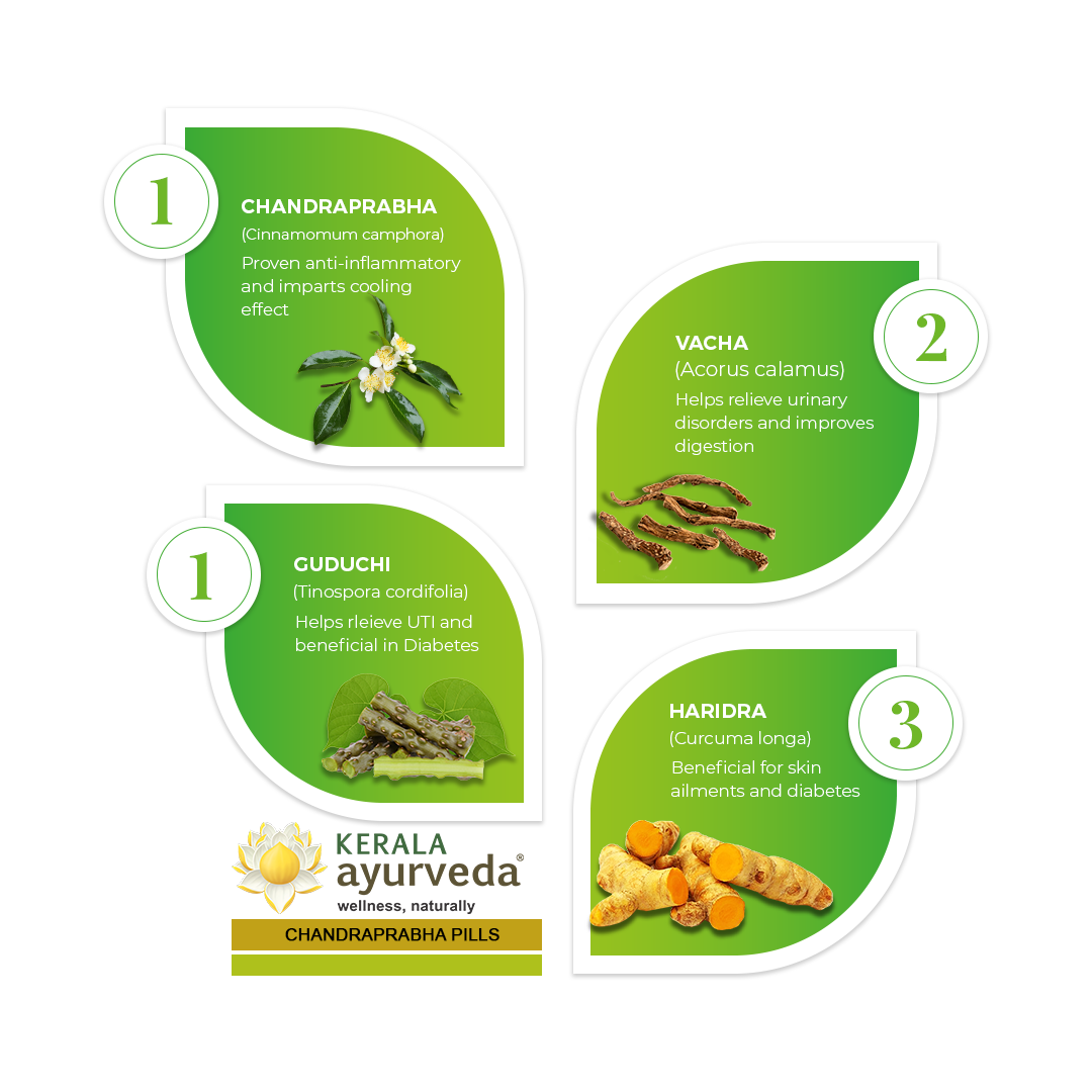 Banner image illustrating key ingredients of Chandraprabha Gulika, including Chandraprabha, Vacha, Guduchi, and Haridra, detailing their benefits for anti-inflammatory, digestive, and urinary health. – Kerala Ayurveda India


