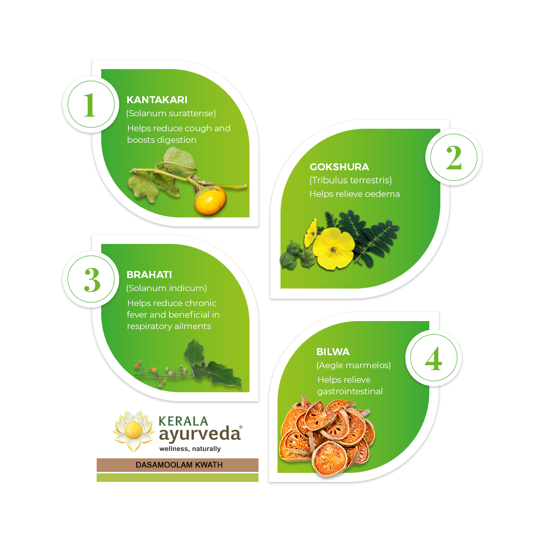 Banner illustrating key ingredients of Dasamoolam Kwath: Kantakari, Gokshura, Brahati, and Bilwa, detailing their benefits for cough, digestion, edema, fever, and gastrointestinal issues. – Kerala Ayurveda India