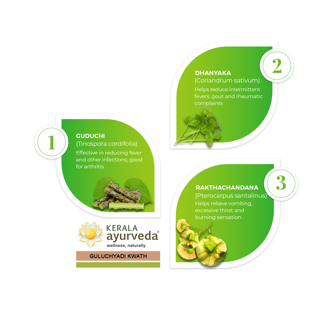 Banner illustrating key ingredients of Guluchyadi Kwath: Guduchi, Dhanyaka, and Rakthachandana, with their respective benefits for fever, arthritis, and other complaints. – Kerala Ayurveda India