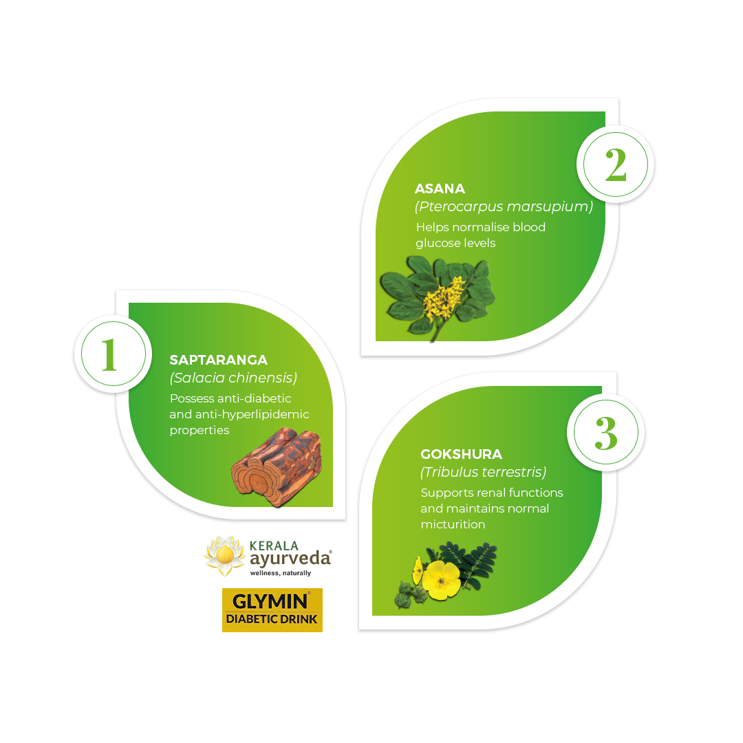 Banner illustrating key ingredients of Glymin Diabetic Drink: Saptaranga, Asana, and Gokshura, detailing their benefits for anti-diabetic and anti-hyperlipidemic properties, normalizing blood glucose levels, and supporting renal functions. – Kerala Ayurveda India