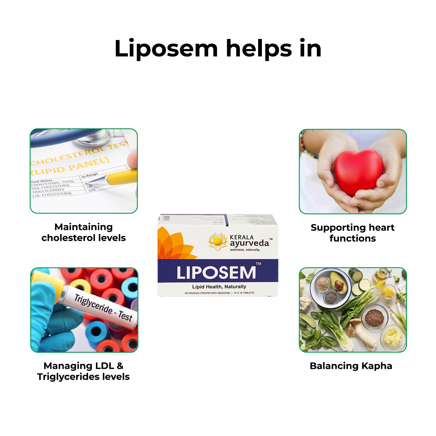 Liposem helps in grid illustrating maintenance of cholesterol, control of LDL & triglycerides, heart support and Kapha balance, communicating comprehensive Liposem tablet uses – Kerala Ayurveda India
