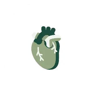 Ayurvedic roducts for Heart Health