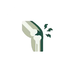 Ayurvedic roducts for Joint & Muscle Care