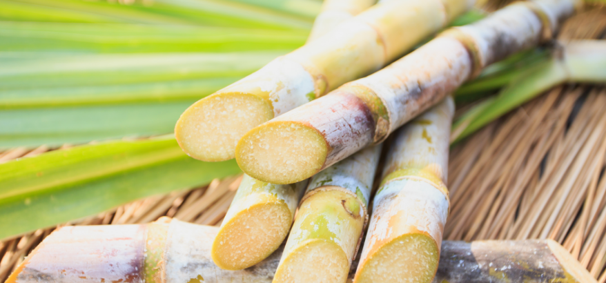 eating sugarcane can help with kidney stone