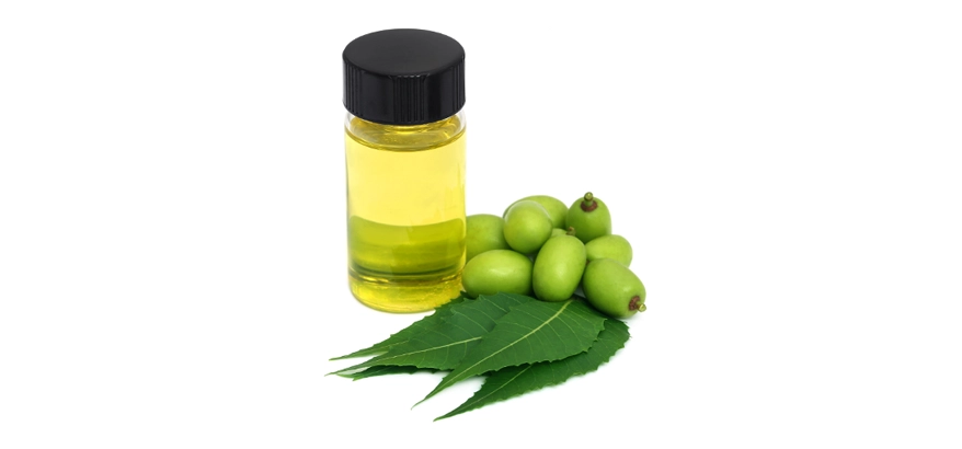 benefits of neem for hair