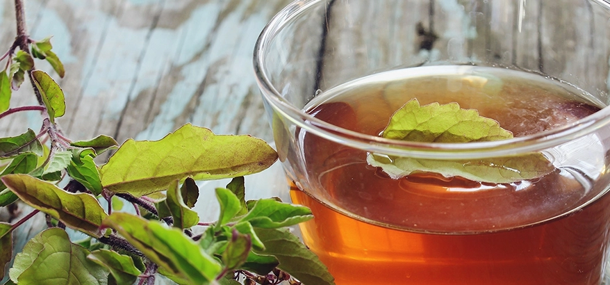 Brewing Wellness with Tulsi Tea