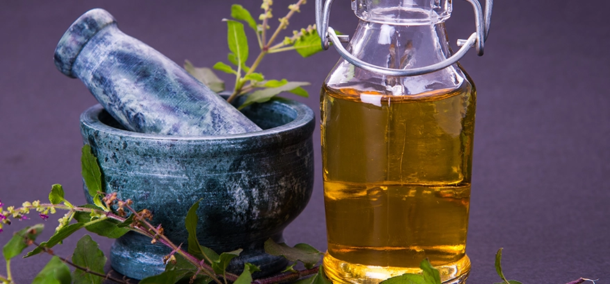 Fragrant Benefits of Tulsi Essential Oils