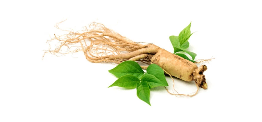 Post Natal Care with Ginseng Root