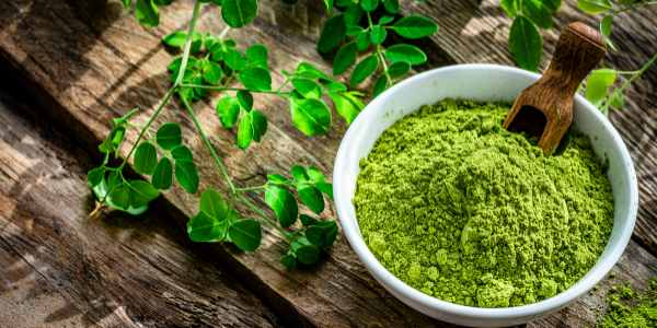 Increase Hemoglobin With moringa leaves