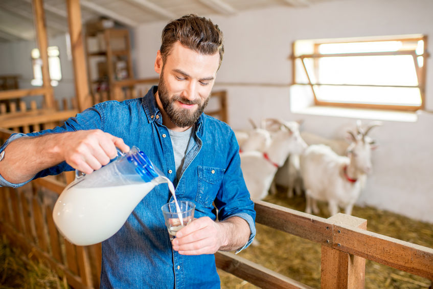 Goat milk to relieve eye strain