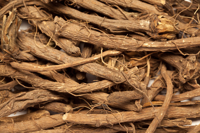 Which are the most used Ayurvedic Herbs and their benefits?