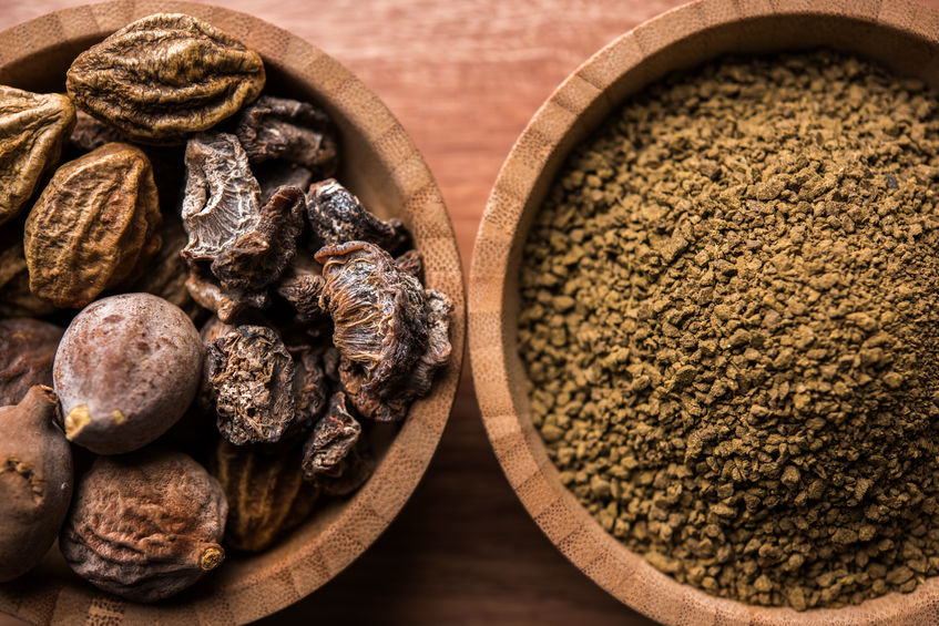 सबसे अधिक उपयोग की जाने वाली आयुर्वेदिक जड़ी बूटियां और उनके लाभ कौन से हैं? | most used Ayurvedic Herbs and their benefits
