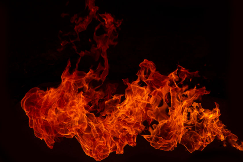 Pitta Dosha - The Fire Element